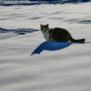 �������������