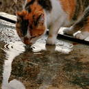 ... � ��� ���� ����� ...