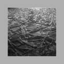 ���������.