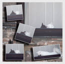 ���, �����!!!...)