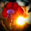 �� ������!