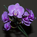 �������-2.