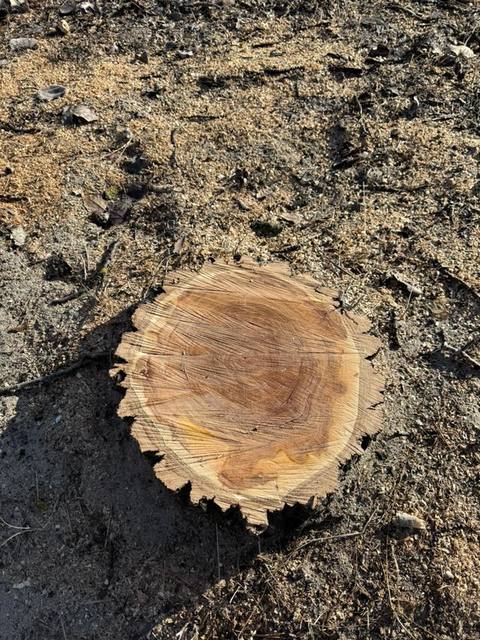 ���, ��� �������� �� ������� �� ������������ �������. 