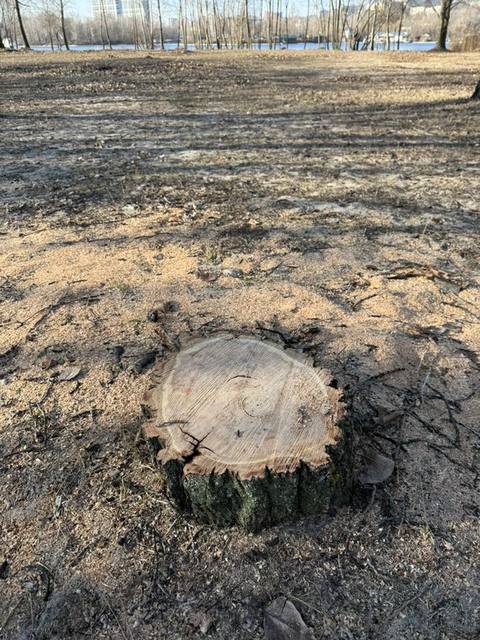 ���, ��� �������� �� ������� �� ������������ �������. 