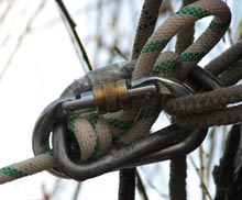 � ����� ����� ������� ������������ �� ������� ������� �������