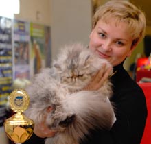 ���� �� ���� ����������