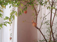 � ���������� �������... �������! 