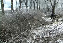 500 ������� ����� ��������� ��� �������������