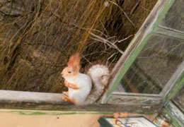 �����, ������� � ��������� �����, �������� ��� ��������