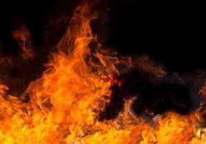 � ���������������� ��������� ������ ������ ����� � ����������� ������