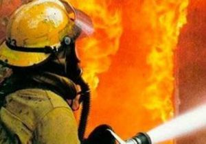 � ������ ������������ ����� � �������� �������������