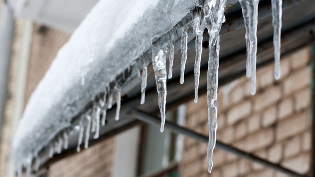 ������� ��������: �������� ������ ���� �����������