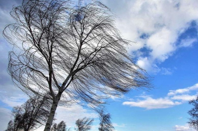 ��������� ������������ ������� ��� ������ ����