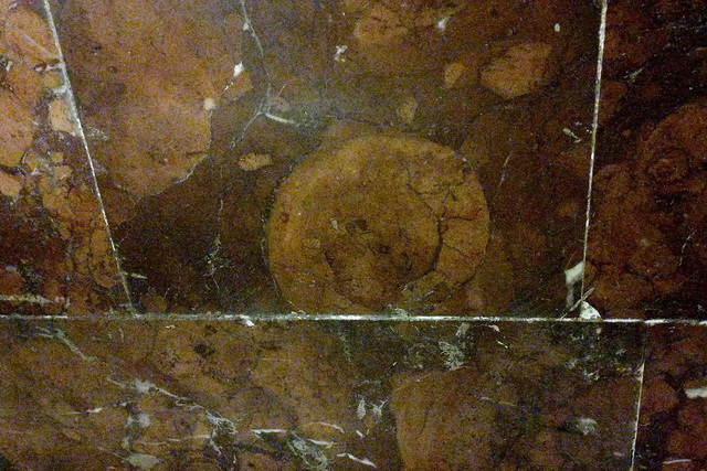 � ����������� ����� ���������� ���������� ���������