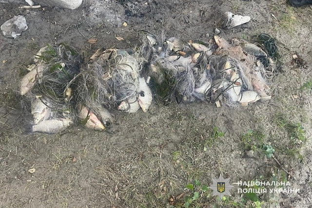 �� ���������������� ����� ������  ����������, ������� ����� ������� ��   100 ����� ������  