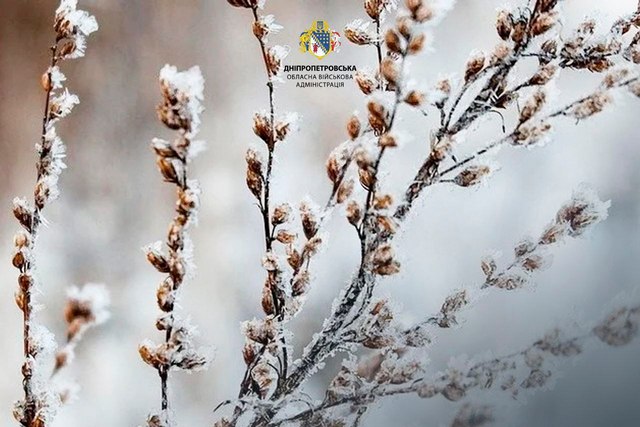 ���� ����� �� ���� ������� � �������� ����������������  �  ��� ���������