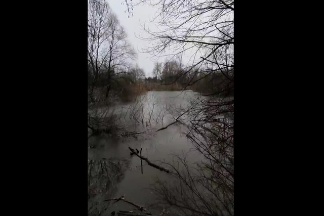 ����� ���� ������ ����������� ������� ���������!