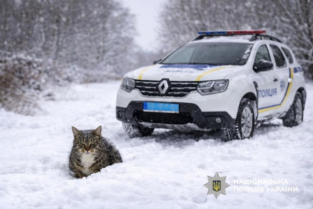 ��������� ���������������� ���������� ������� ��� ������������� ������