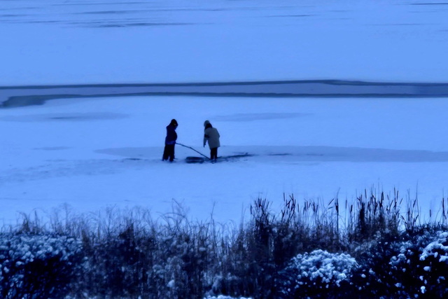 ������! ����������� ���� ������� ������ �� ����!