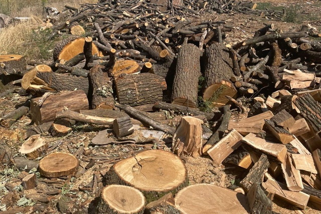 � ���������������� ������� ����� ������ ���������� �������������� ������, ������� ���������� ���������� �������� ����