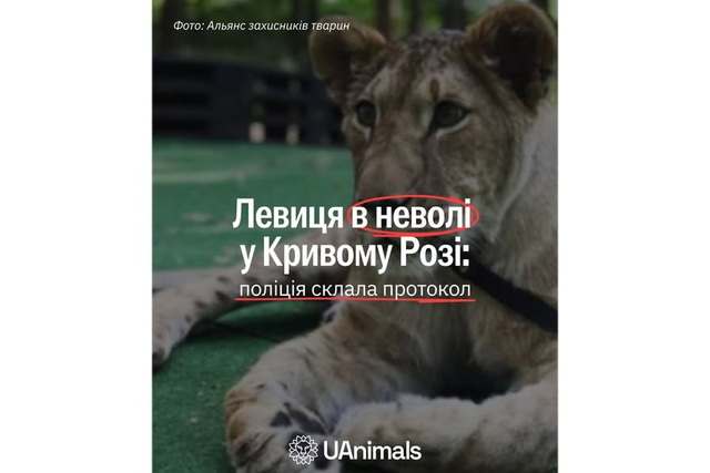 ������� ��������� �������� �� ���� ������ �����, ������� �������� � ������ � ������ ����