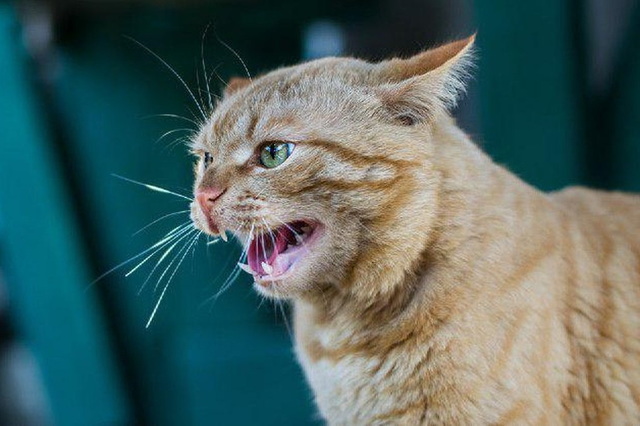 ����� �� ����������: � ������ �� ���������������� ����� �������� ��-�� ��������� � ���� 