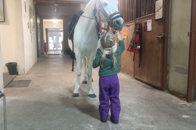 � �������� ����� �������� ��������� ������ �����