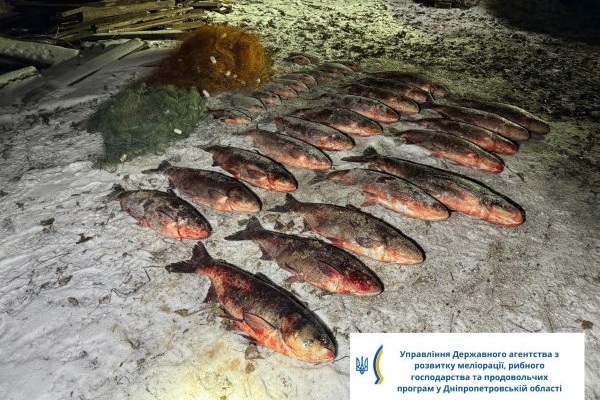 ������� ������� ����������� � ������� �������� �� ����������