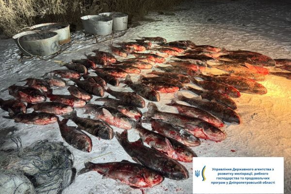 ����� 700 �� ����������� �����: �� ���������������� ������� ���������� 