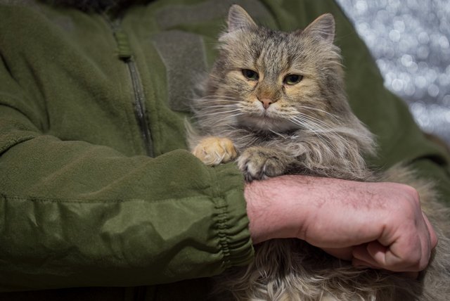 ���������� ���������� � ���. ����� ���� ����� ������ ������ � ������ 128-� ������� ������ ����