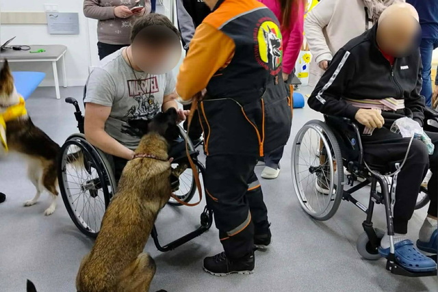 �������� ������ �������� �������� ��������� ������������ ��������� � ����������� ��������