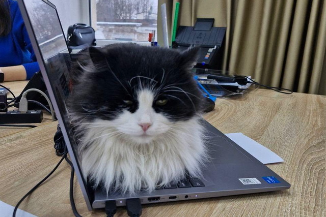 В областной службе занятости появилась хвостатая сотрудница