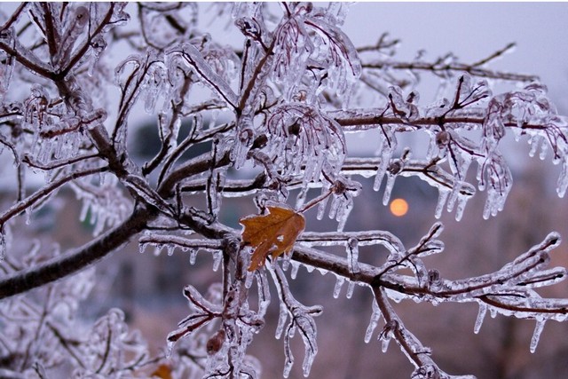 ������� ����� � ����������: ������� ��������� ��� ������������� �� �������� �� ����