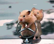 ��������� ���������� ������, ������� ������������������ �� ��������� ������� ����