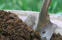 ���������������� ���-��� ���������� � �������