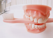 ������������� ���� �����������