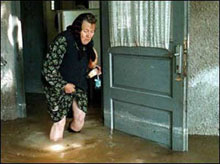 ������� ���������� ��� ������� � ���������������� ������� ��������