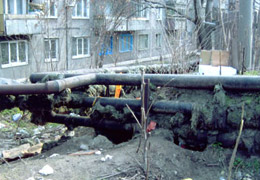 ���������� ��� ������ � ������ � ������-������ ������ 2010-2011