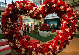 ������� � ���� ������� ���������