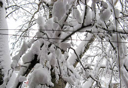 � ���������������� ��-�� �������� ��� ���������������� �������� 1200 �������