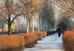 ����������� �������� ������ ���������� � �������� 