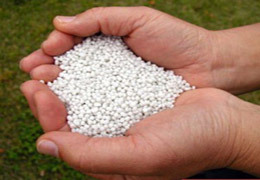 �� ����������� ������ ����������� ��������� ��������� �������� ����������