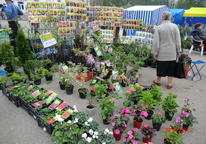 � ���������������� ������� �������� �������