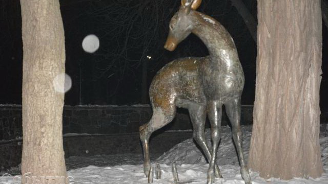 �������� �������� � ��������� ����