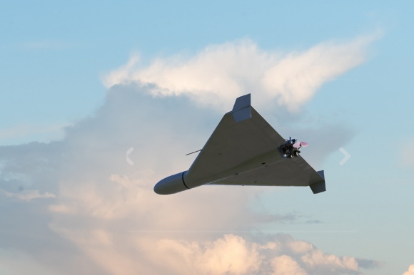 ���� �������� ���� ����������� �����