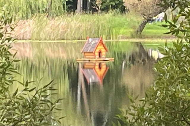 ��� ����� ������� �������� �������� �������� ������