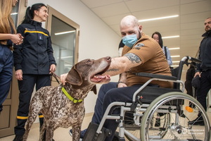 ��������� ��������: ����������� ��� ��������� � �����