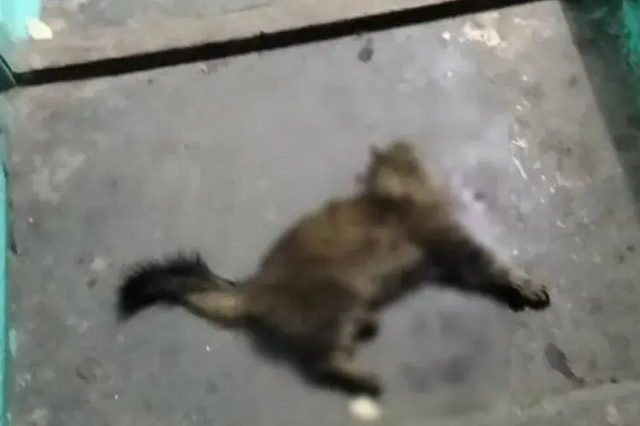 � ������� ��� ��� �������� ������ �� ������� � 8-�� �������: ����� ������� ��������