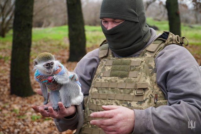 ��������� ����� ����� ���������� ����������� ������� ������ ����