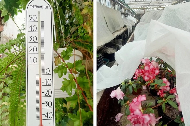 � ������� � ������ ����������� ���������: ��������������� ����������� ��������